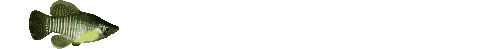 Gif Poisson Gauche Droite 2