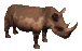 Gif Rhinoceros