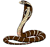Gif Cobra 2