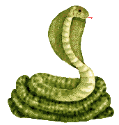 Gif Cobra