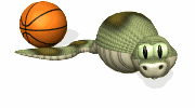Gif Serpent Ballon Basket Ball