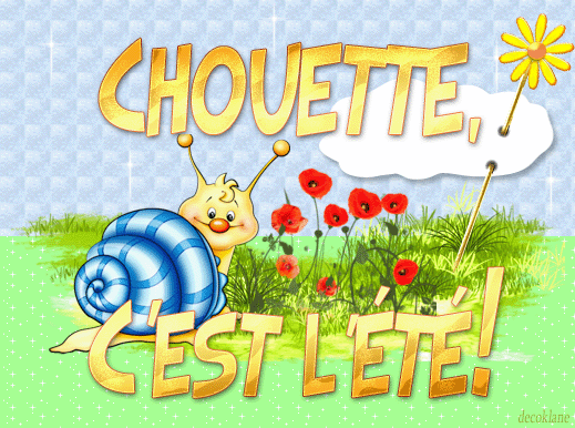 Gif Chouette C Est L Ete