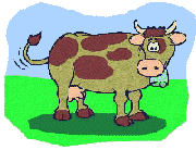 Gif Vache 8