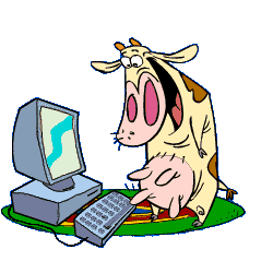 Gif Vache Sur Internet
