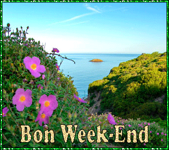 Gif Bon Week End 036