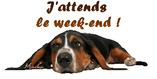 Gif J Attends Le Week End